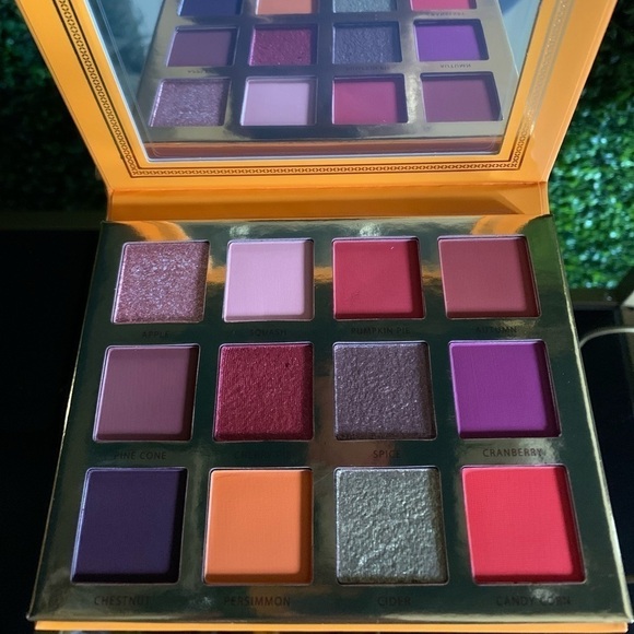 Ace Beaute FALLING FOR YOU Eyeshadow Palette | NEW - Picture 4 of 9